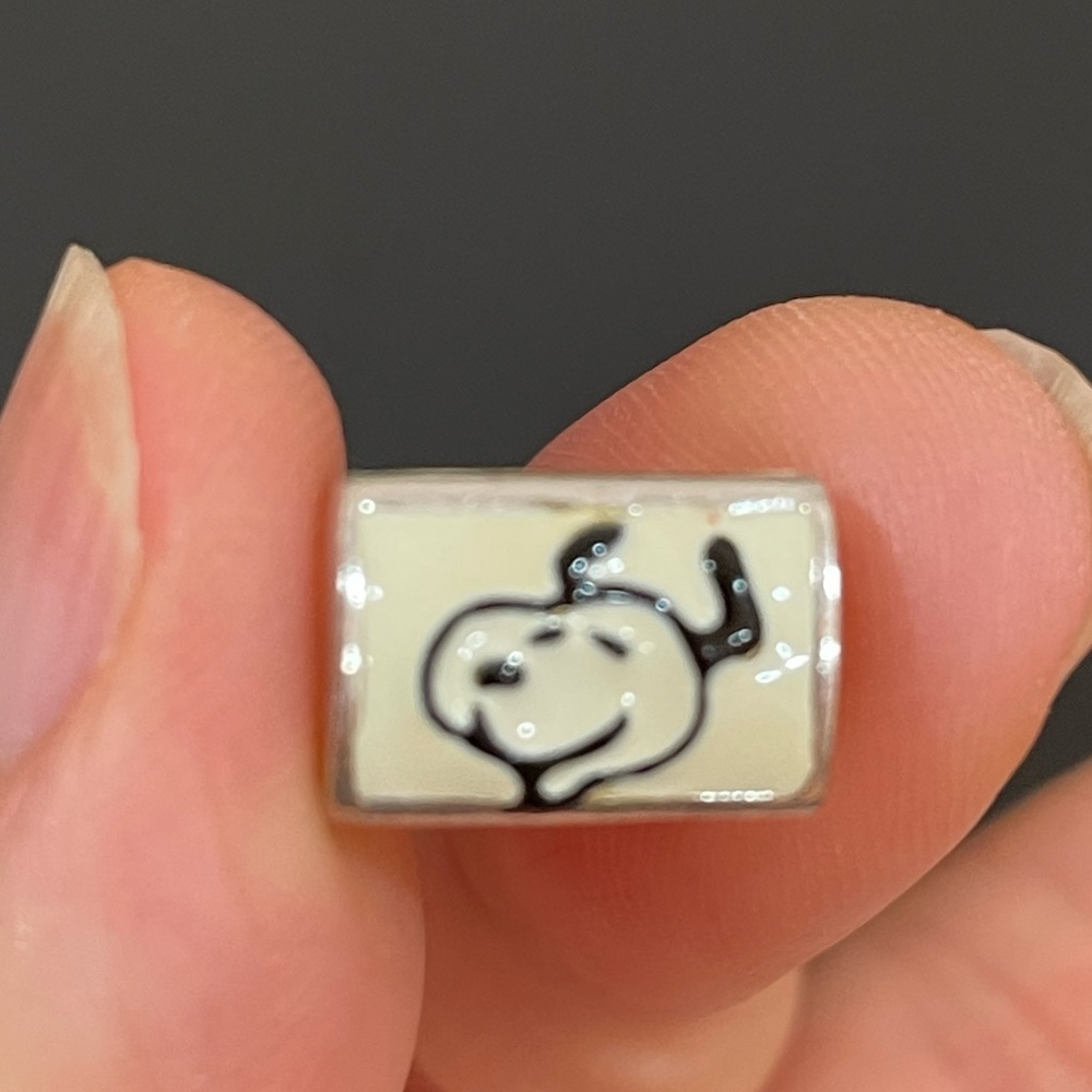 Pandora Bracelet Charm